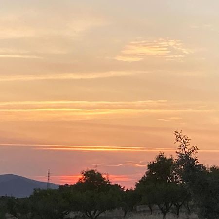 Finca El Atardecer-Luna Los Santos de Maimona Exterior foto